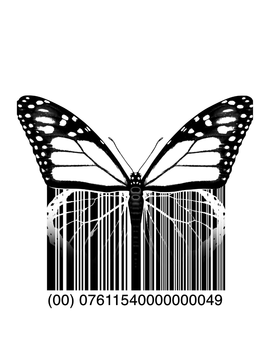 The E-Commerce Butterfly Effect